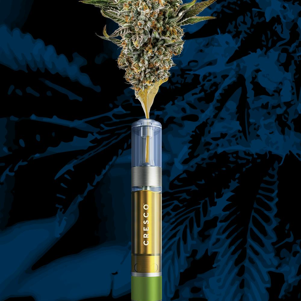 Product Image Alt