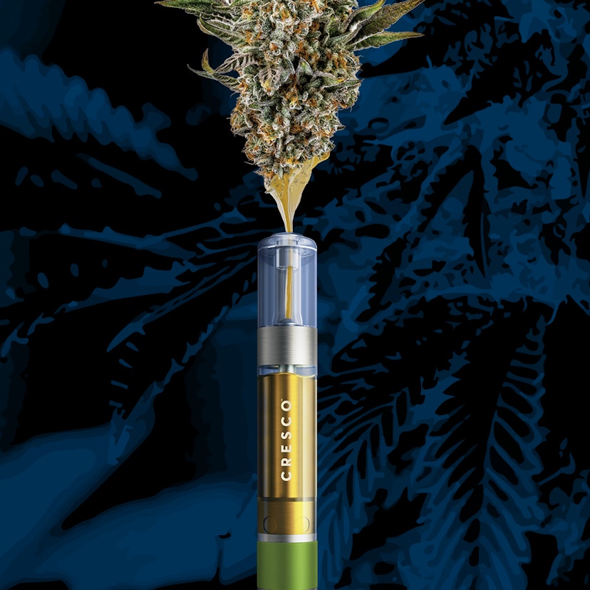 Cresco Labs 1g Liquid Live Resin Cart Rest Canal Street Runtz x Dirty Bird