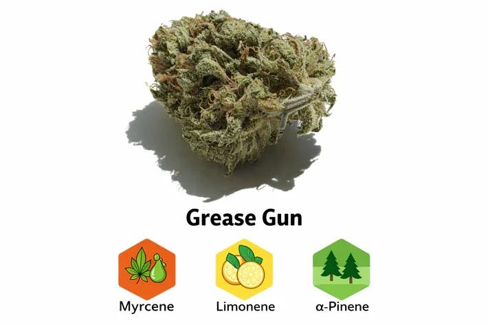 Grease Gun