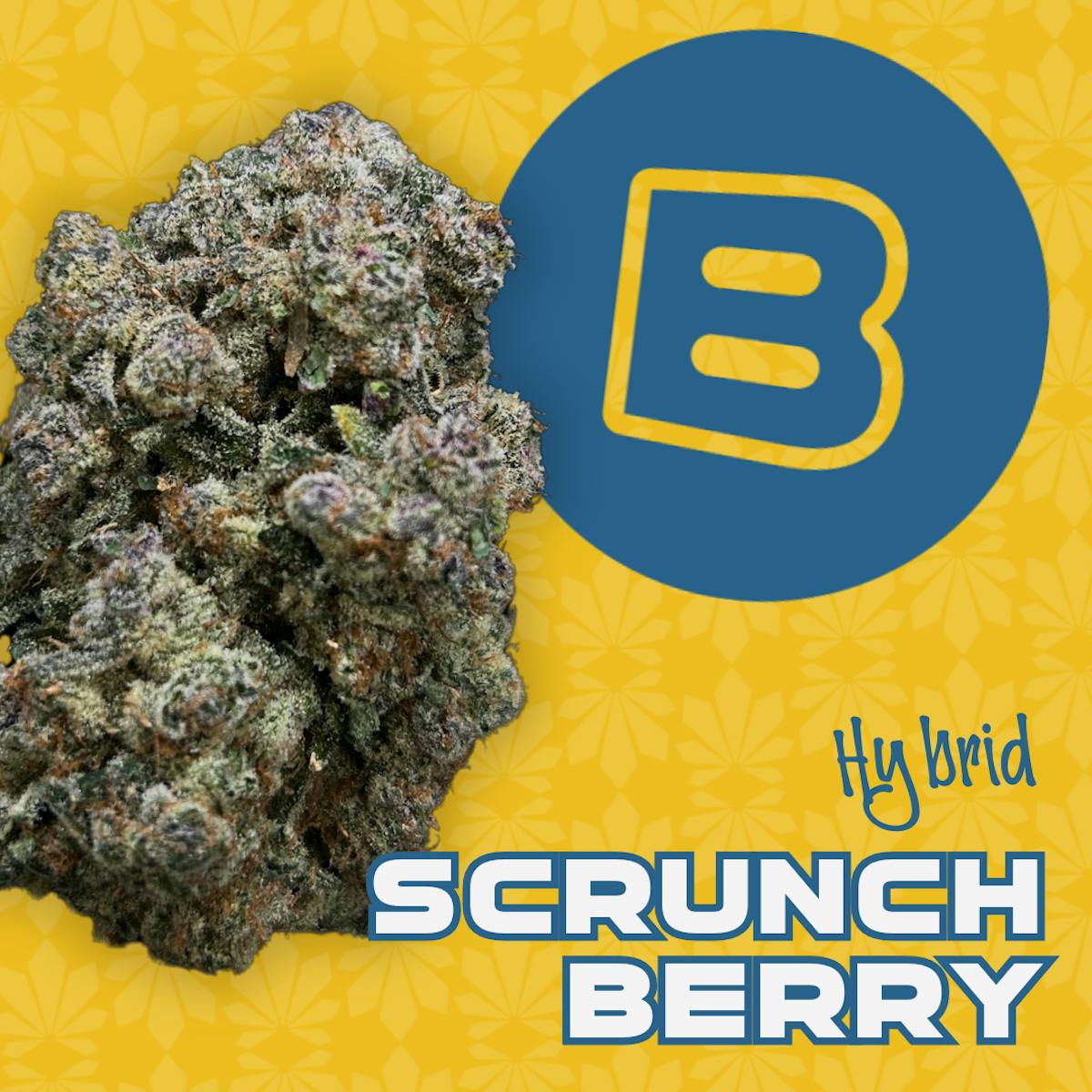 Photo of Scrunch Berry