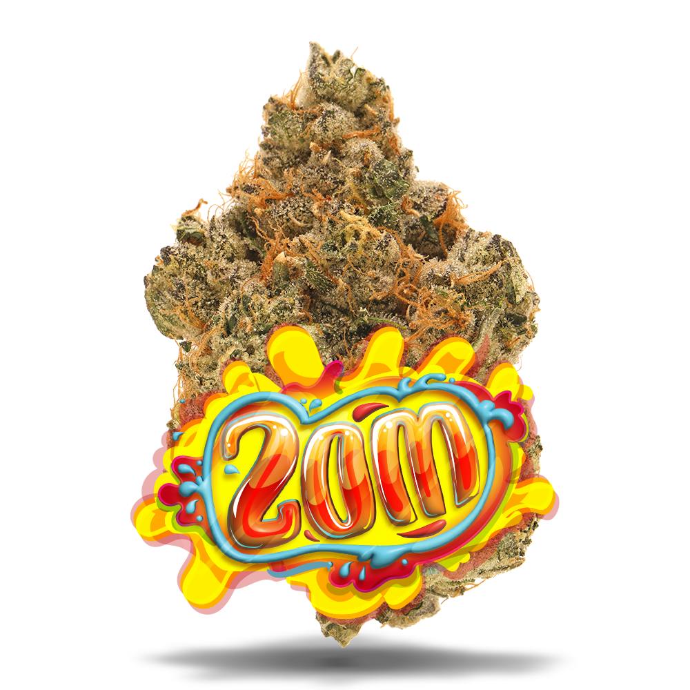 Shop ZOM #3 - Premium Flower in Jacksonville | Jungle Boys
