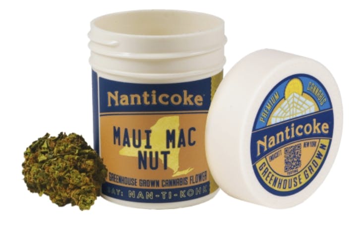 Nanticoke- 3.5 Flower Jar- Maui Macnut (BX)