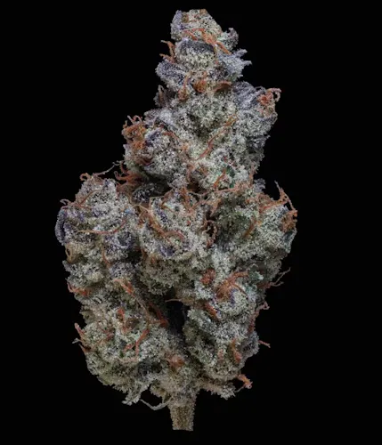 Lemon Slushee | Smalls | 14.15g-1