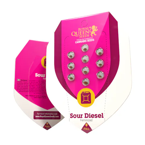 Royal Queen Seeds | Sour Diesel Feminized Photoperiod | 3PK-1