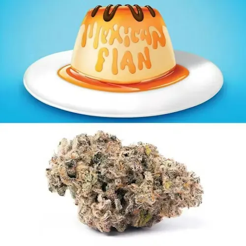 Cookies Mexican Flan Pre-Roll 2-Pack-1