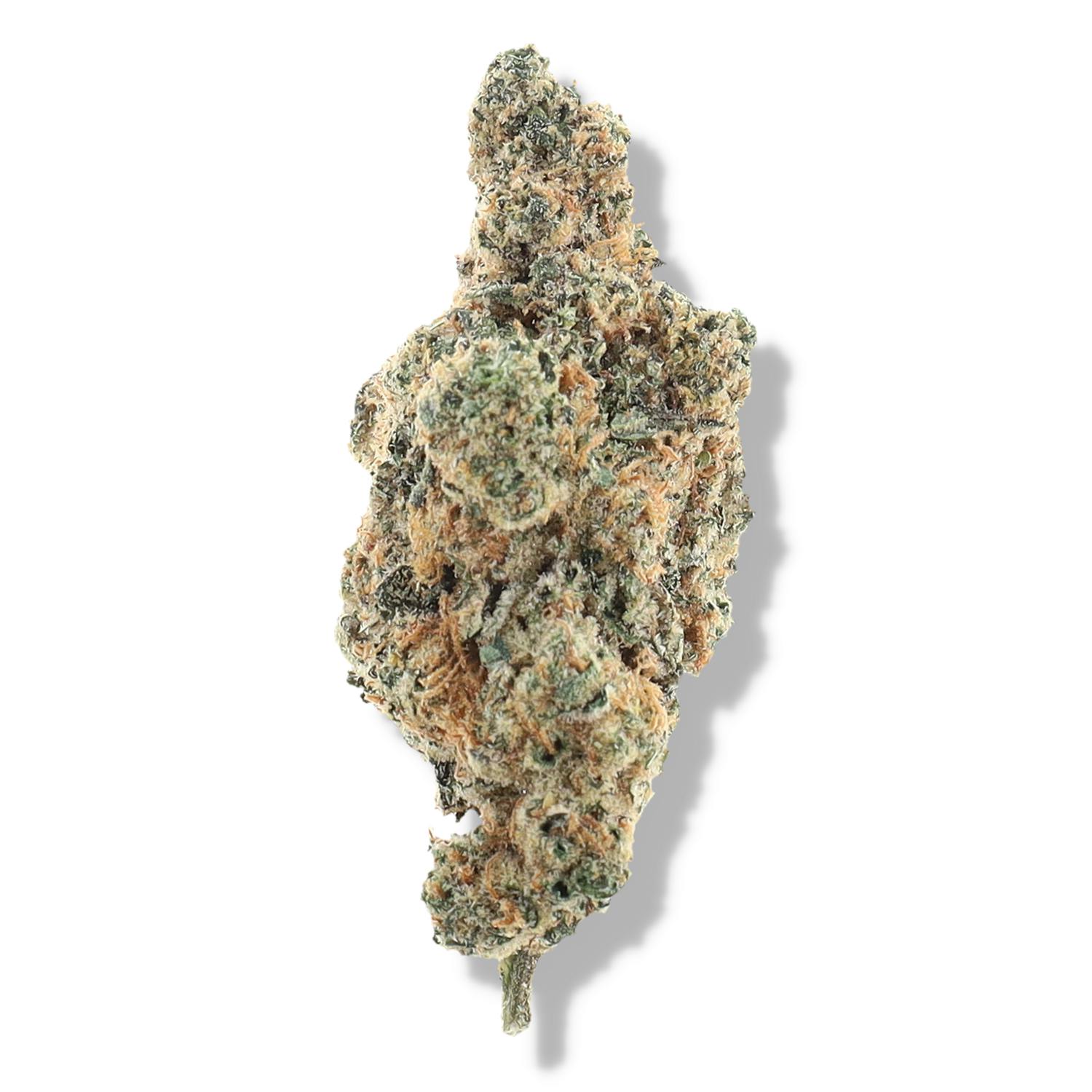 Product Image Alt