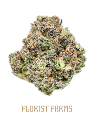 Florist Farms | Black Runtz | Flower-1