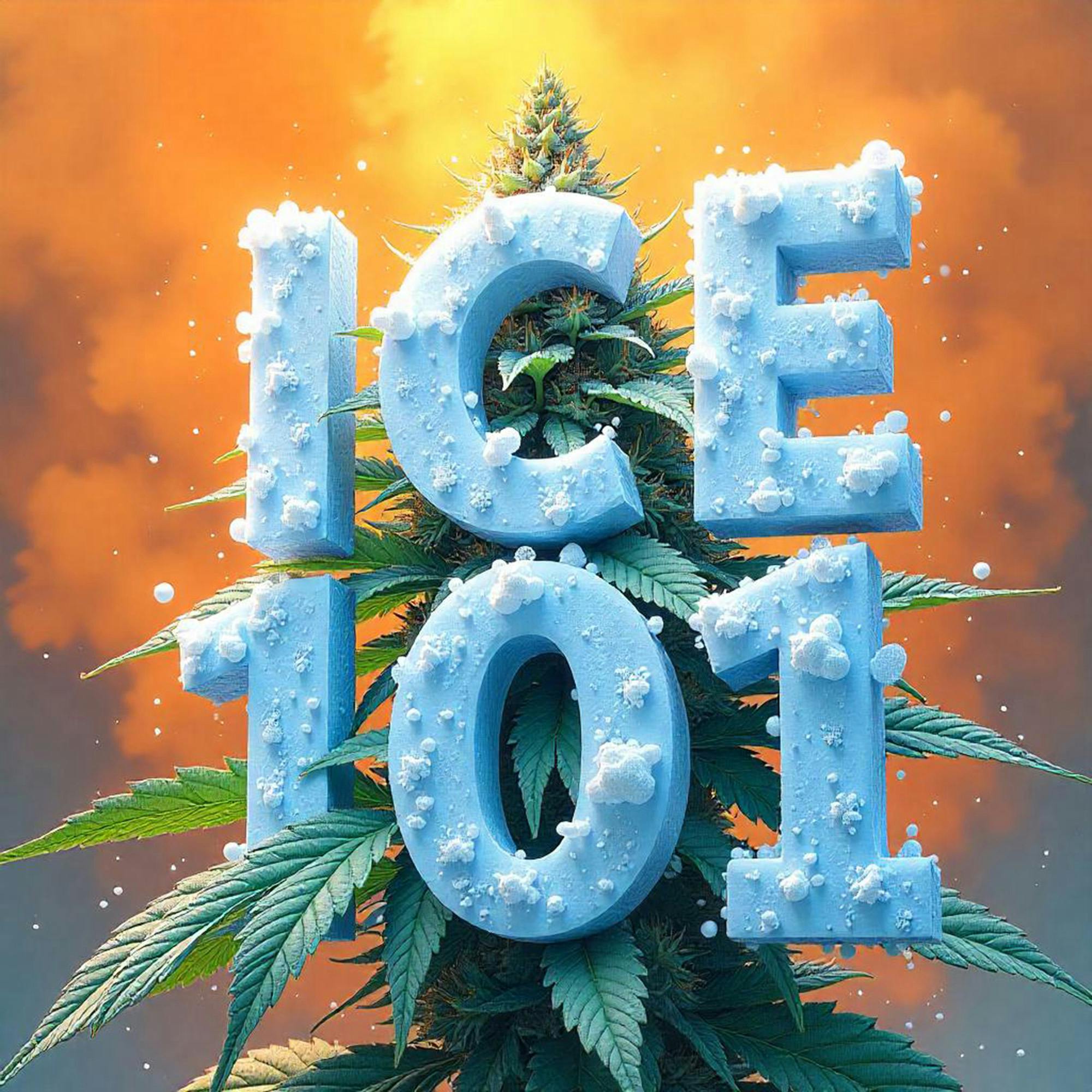 DELI - Ice 101 (Smalls)