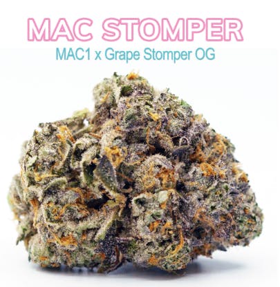 Grape Stomper [.5g], Dime Bag