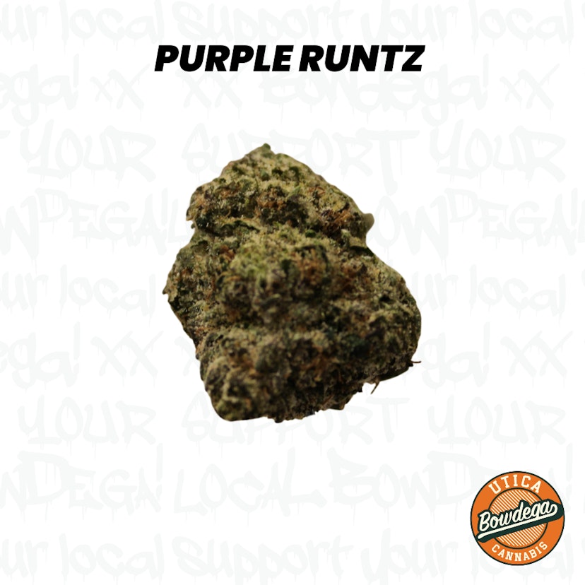 Bowdega | Purple Runtz