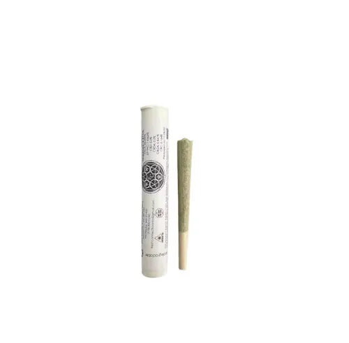 Melon Collie | 1g Pre-Roll-1