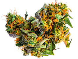 Flower category image