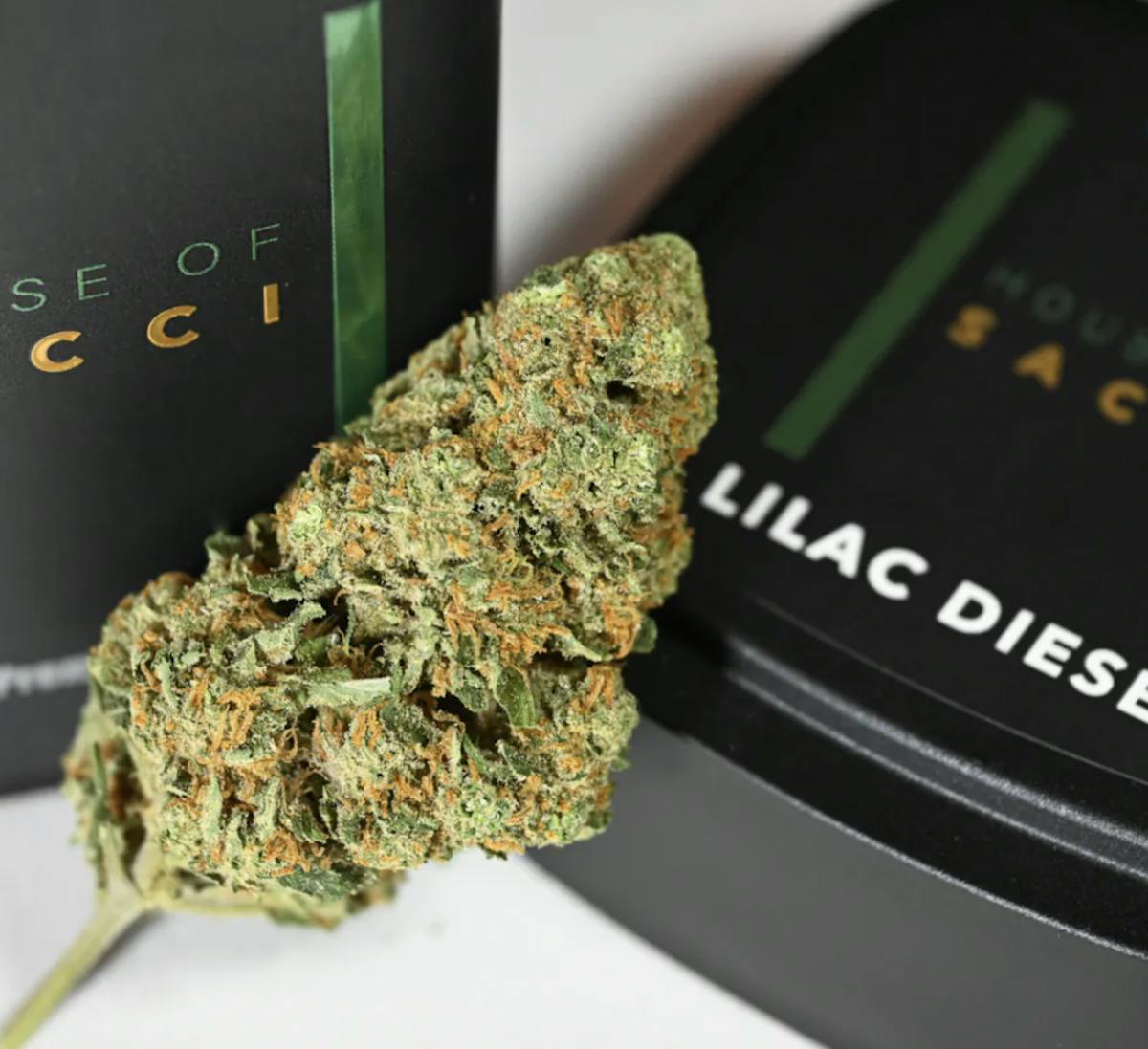 Photo of Sacci – Lilac Diesel – (Half)