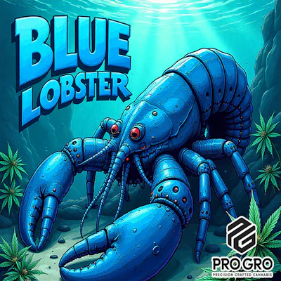 DELI - Pro Gro - Blue Lobster