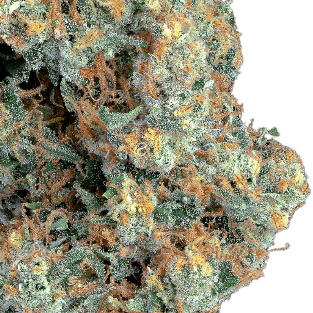 Native Sun Cough BX1 V3 | Flower | 3.5g - Native Sun Cannabis