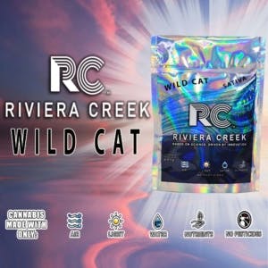 image of Wild Cat