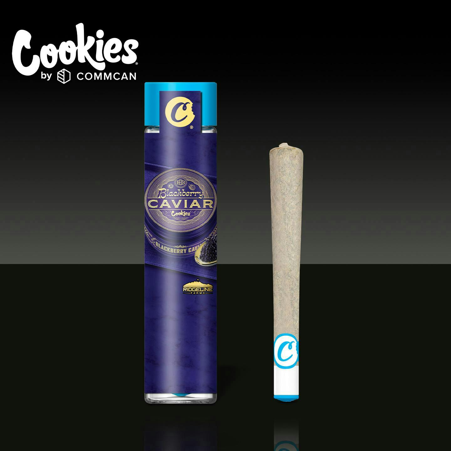 Product Blackberry Caviar Ceramic Tip | Pre Rolls