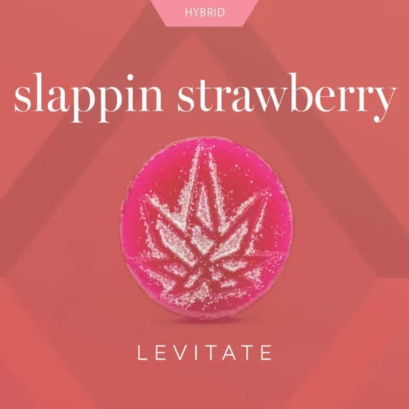 Levitate - 200mg Single Gummy - Slappin Strawberry