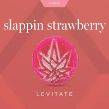 Levitate - 200mg Single Gummy - Slappin Strawberry