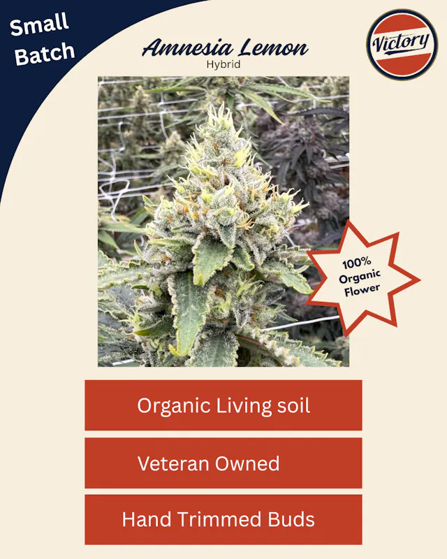 Victory Natural Farms Flower Amnesia Lemon 3.5g (sativa hybrid)