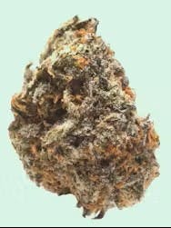 DISTRO 10 DISTRO 10 | FIRE AS FUCK | BULK | HYBRID — FLOWER