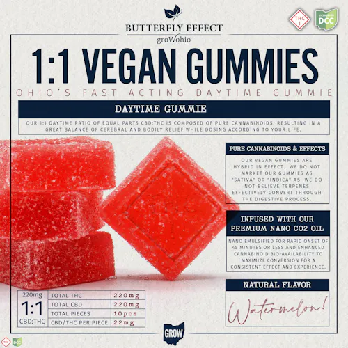 Watermelon | 1:1 THC:CBD Gummies | 22 mg | 10ct-1