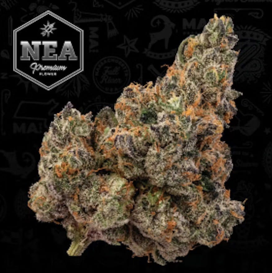 Product NEA Premium | Apple Fritter | Flower
