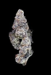 Product Whopperz Buds