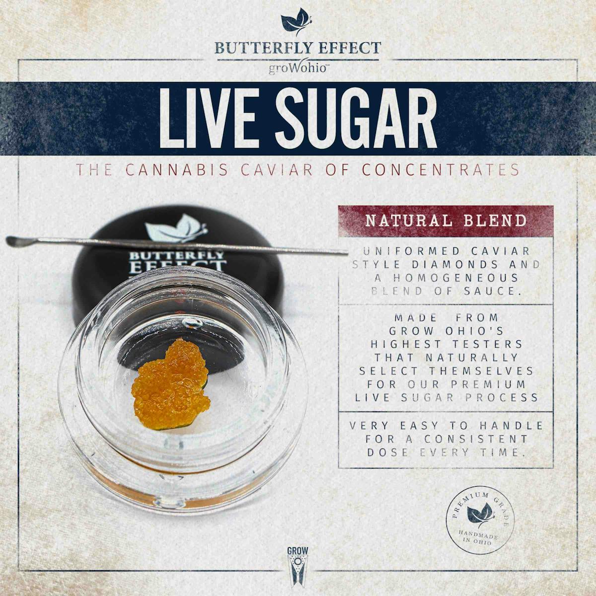 Photo of Layer Cake Live Sugar