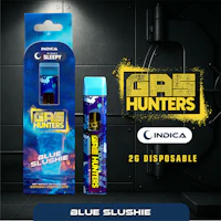 Gas Hunters - 2g Disposable - Blue Slushie - product image at King of Budz