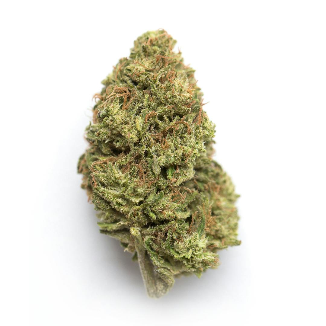 GATSBY CANNABIS CO. GATSBY CANNABIS CO. | FATSO INDICA/HYBRID — FLOWER