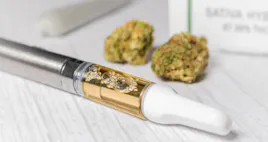 Vaporizers category image