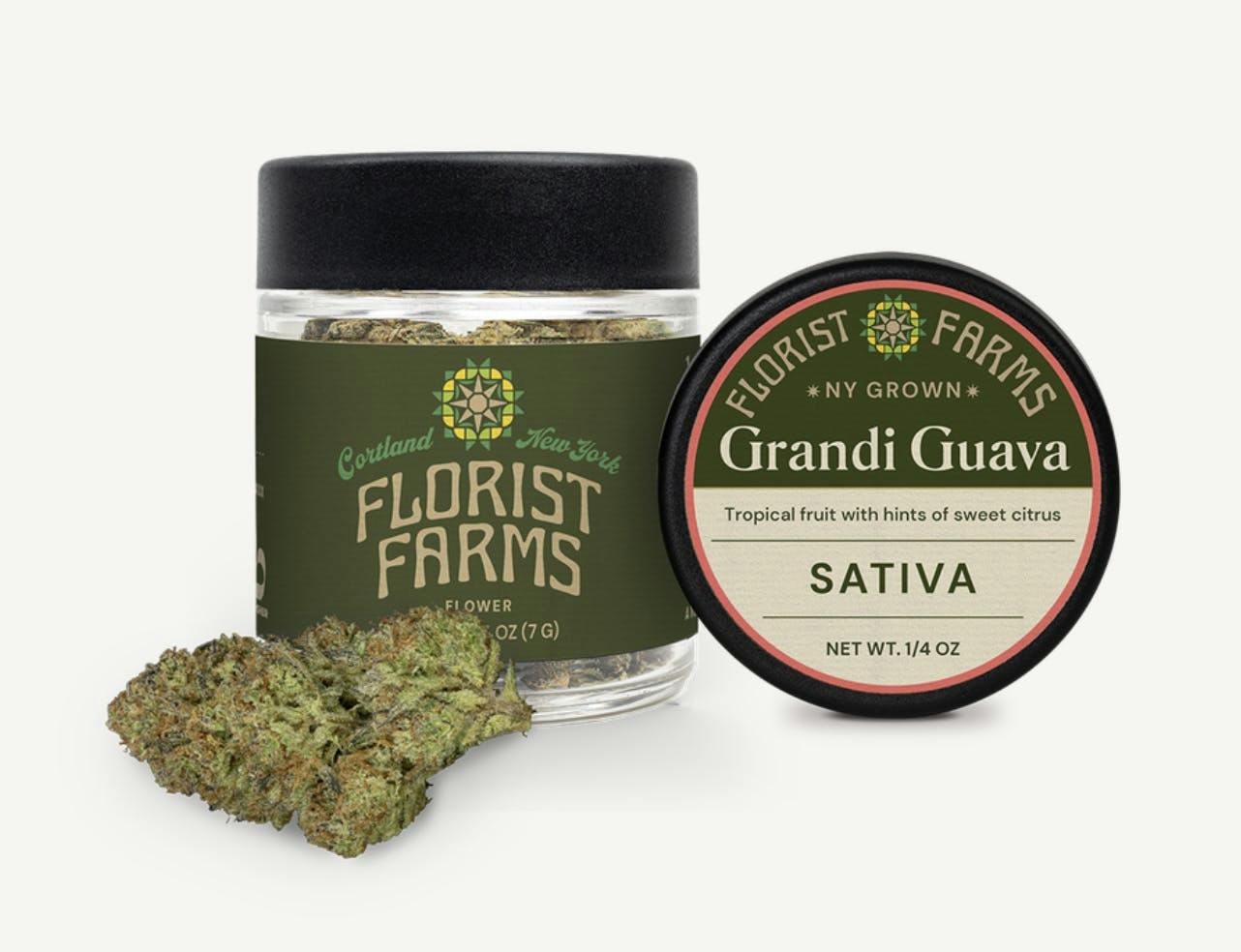 Florist Farms Grandi Guava