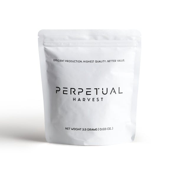 Pineapple (H) 14g PreGround Perpetual Bloom Brothers