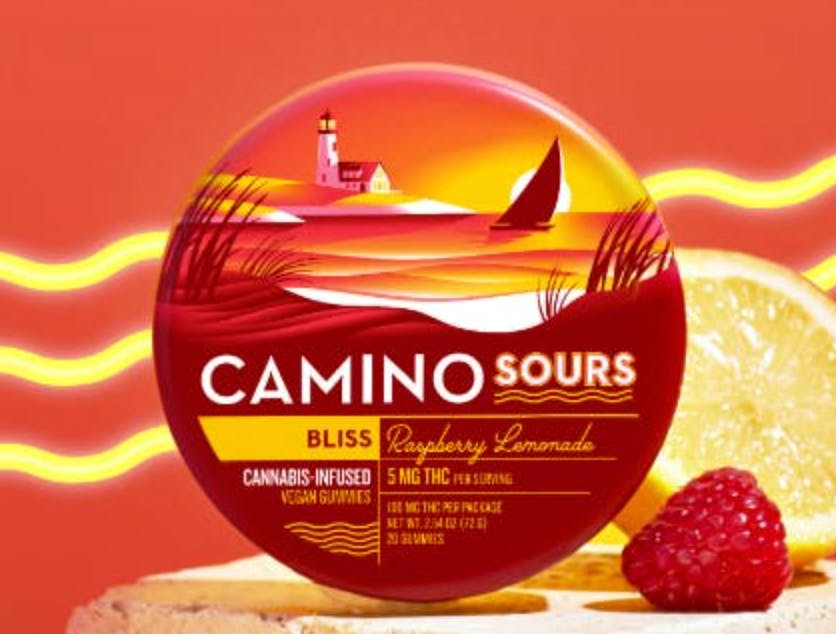 Camino | Sour Raspberry Lemonade (H) - 100mg