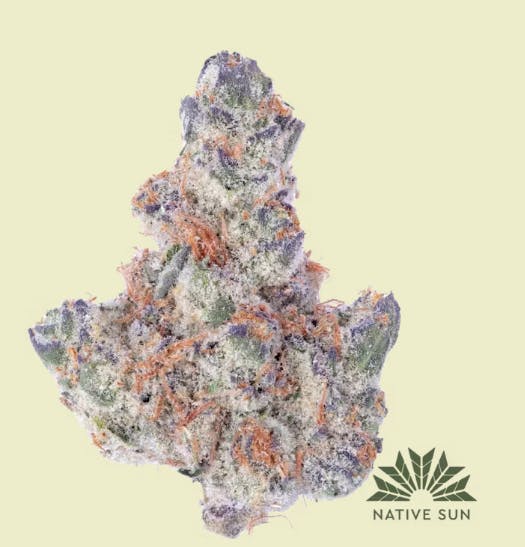 image of Chocolate Pie | 3.5g Flower- Devil’s Lettuce
