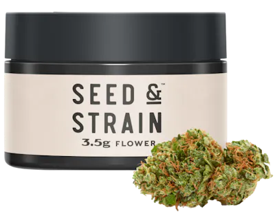 リニューアル濃度up⭐︎CRDP 1ml Jack Herer Jack Herer Original 3.5g Pre Packed 8th - Jack Herer™ Brands