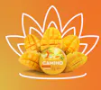 Mango CBD Cannabis-Infused 5:5