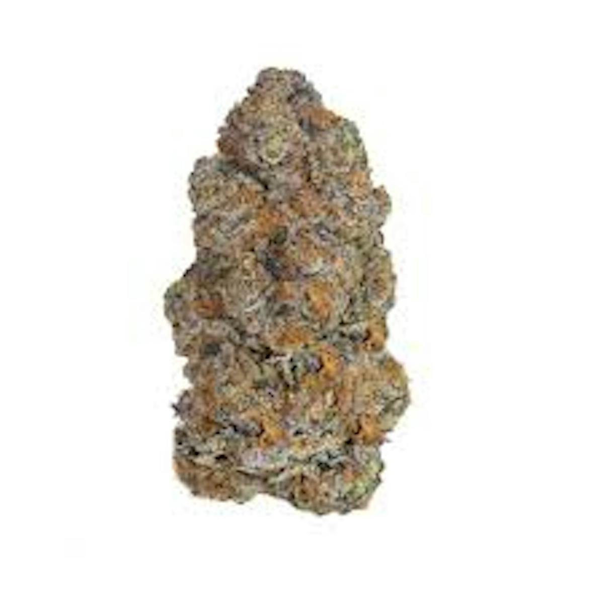 Photo of Biscotti (Orekron)