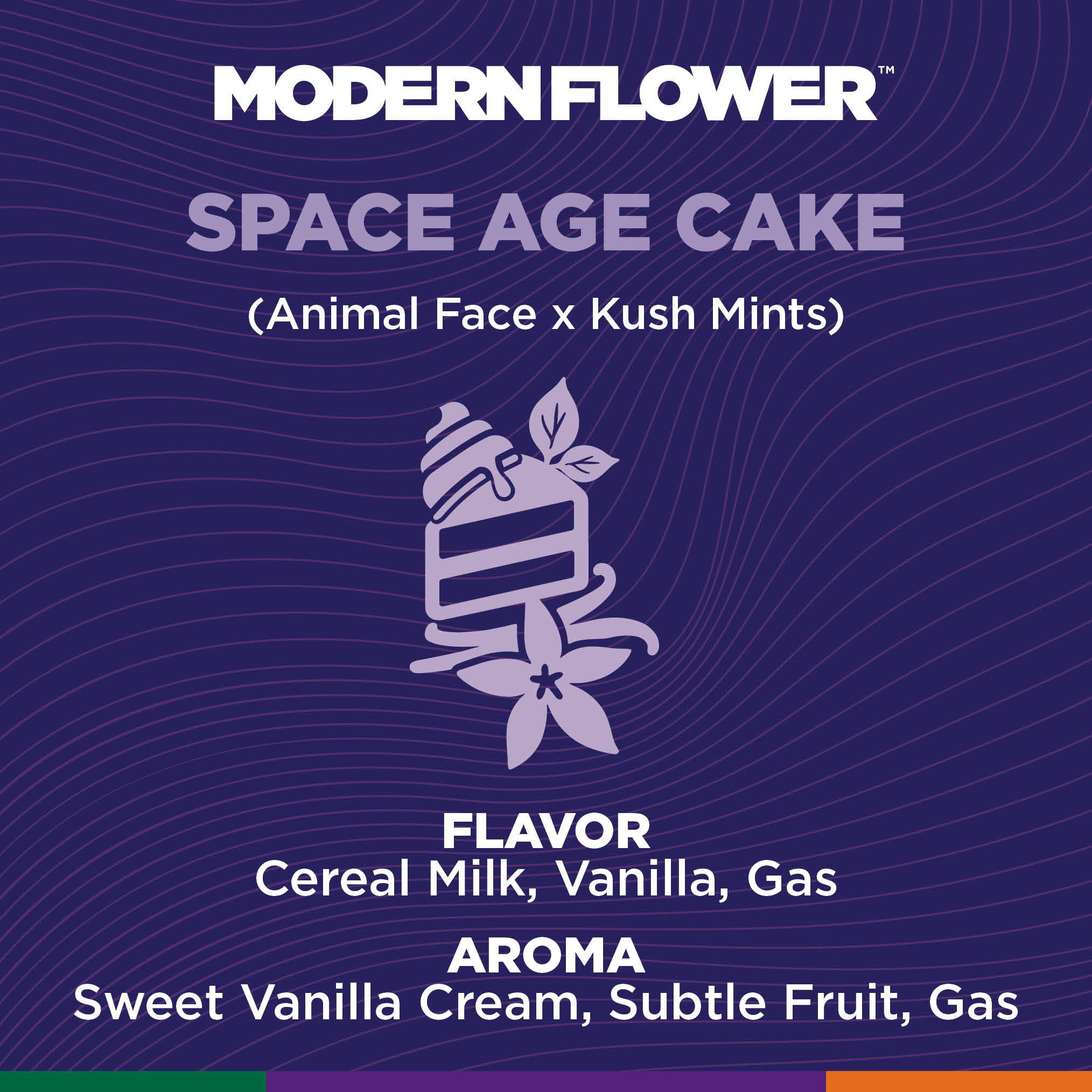 Space Age Cake