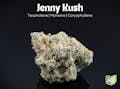 Farkas Farms: Jenny Kush - 14.15g