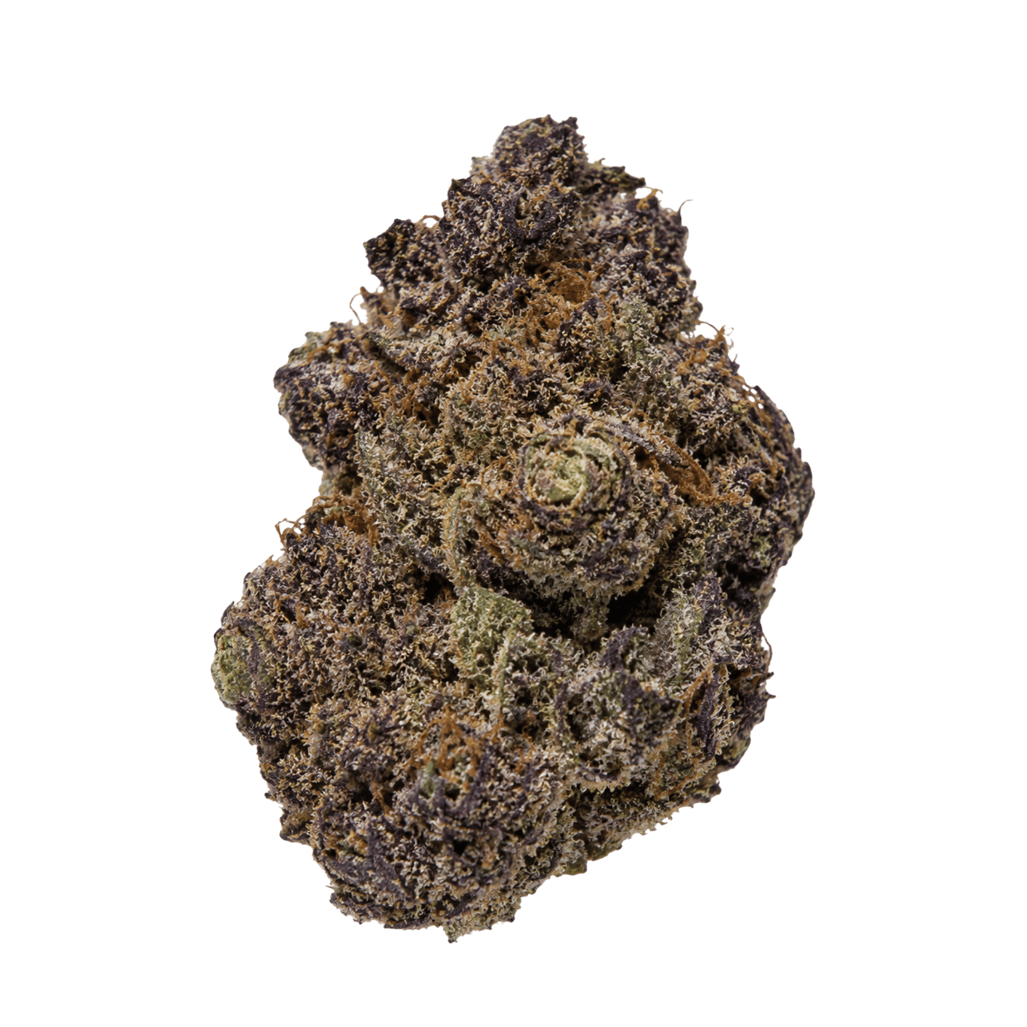Buy Peninsula Gardens Grape Mochi Flower By Peninsula Gardens
