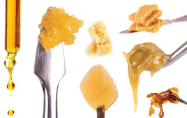 Concentrates category image
