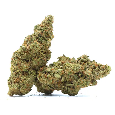 Mimosa – Pakalolo - Big Island Grown: Hawaii's Dispensary