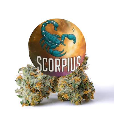 Scorpius