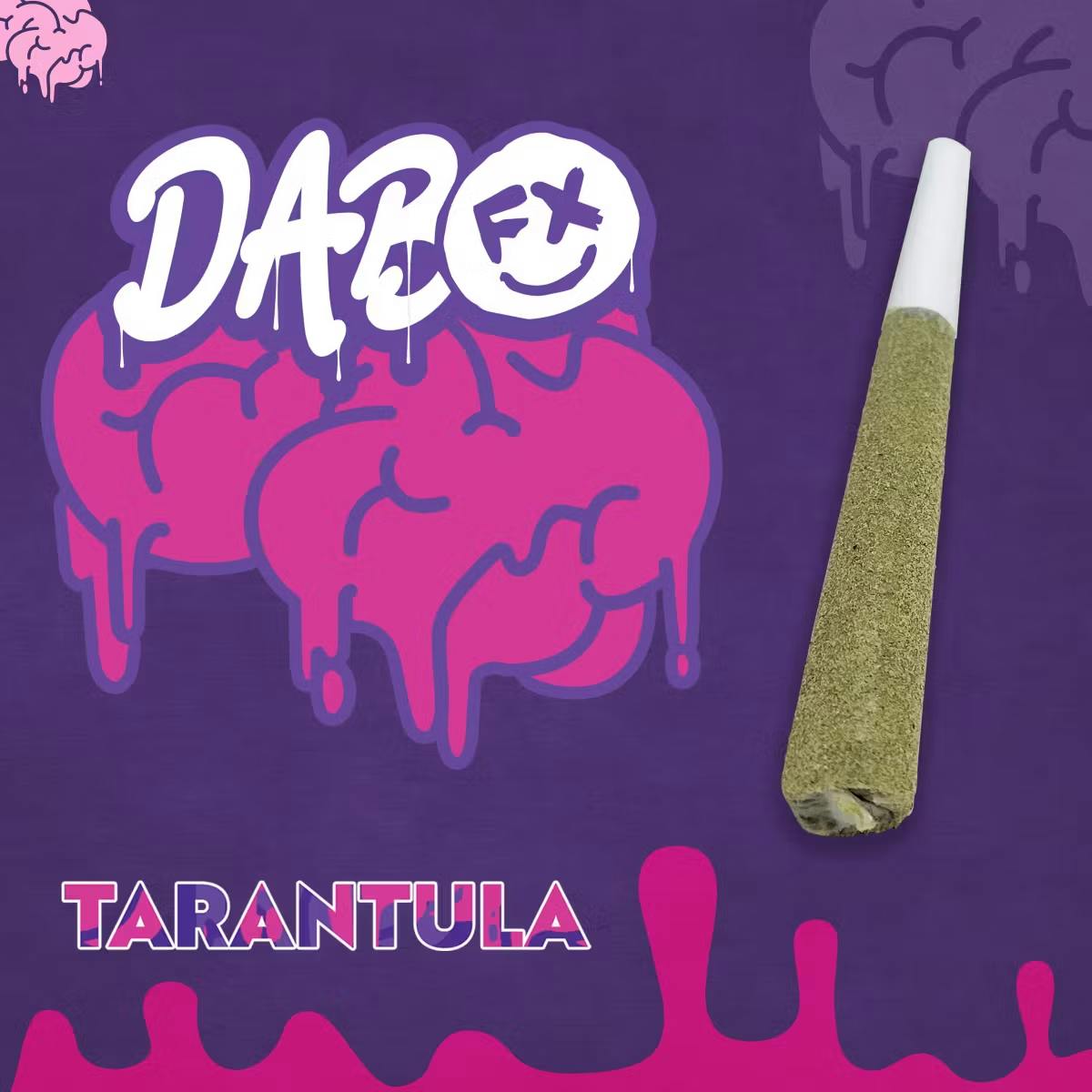 Product Tarantula | Tropical Dream | Infused Preroll