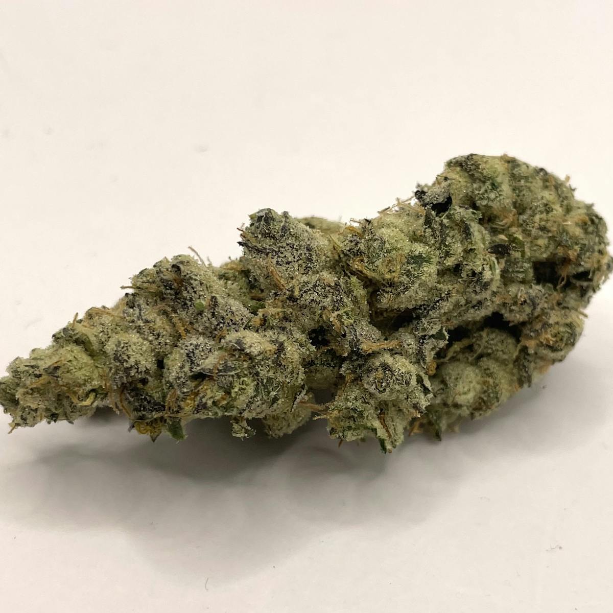 Photo of GMO (Resin Ranchers)