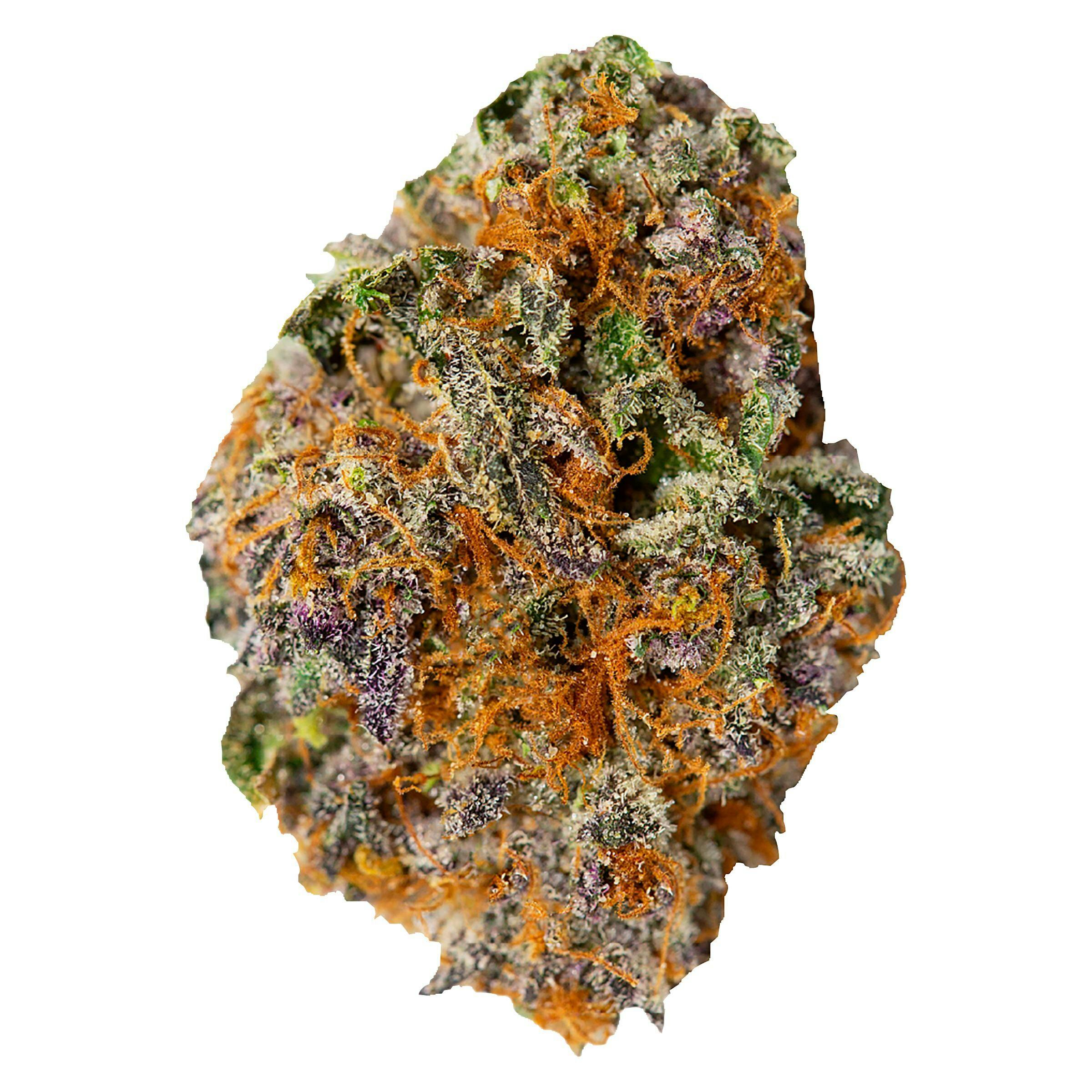 CDTテルペン Gusher 10ml Spiritleaf (Little Italy)