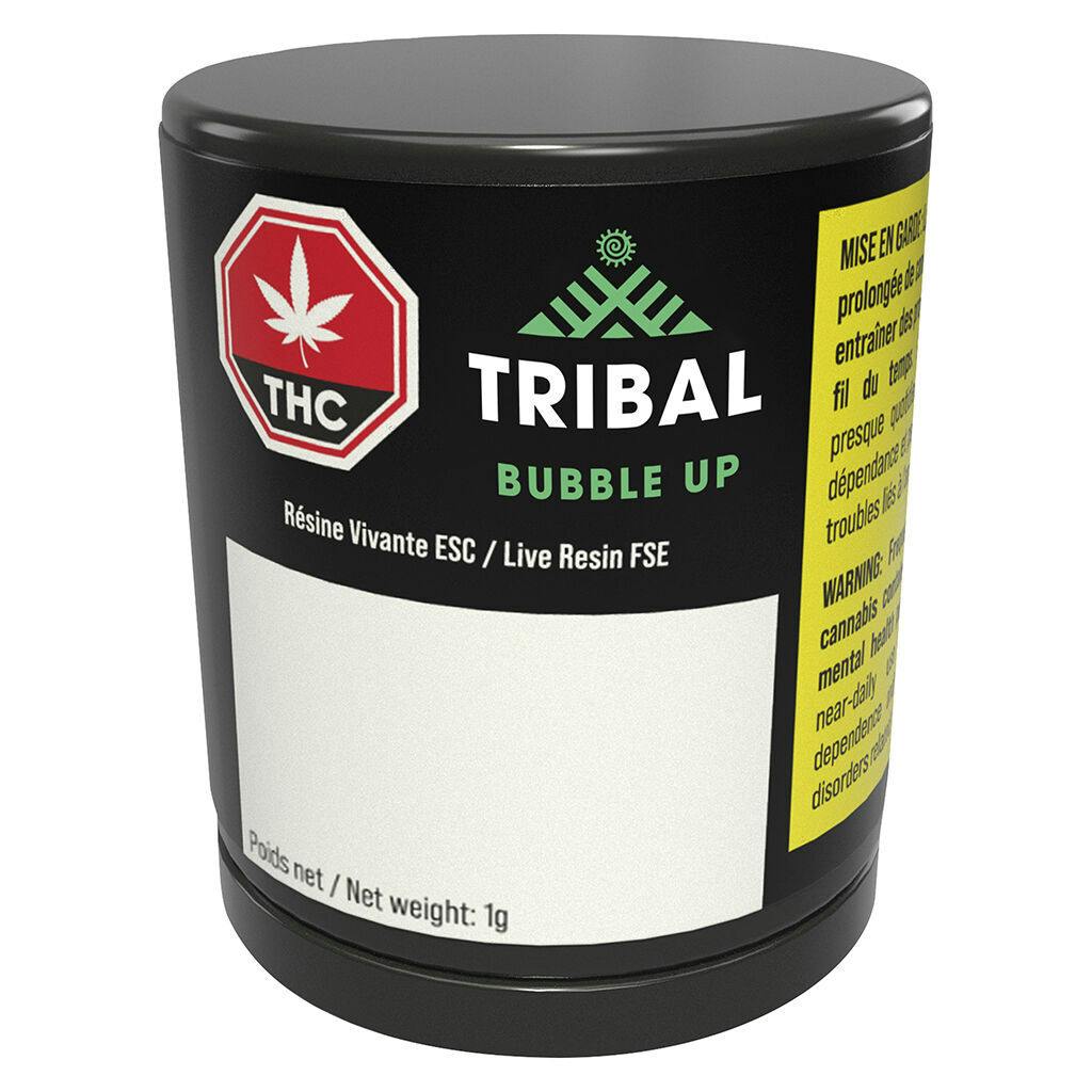 Bubble up live resin fse - 1g