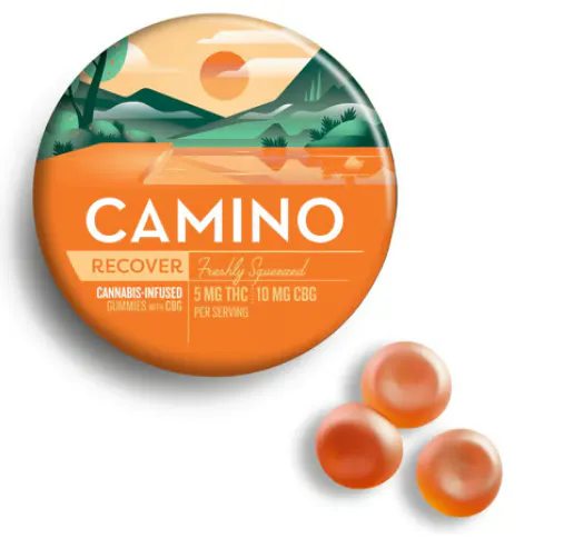 Camino Freshly Squeezed Gummies - 20 pack | Ascend Dispensary